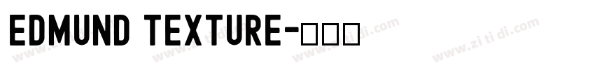 Edmund Texture字体转换